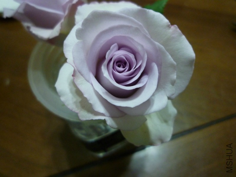 psb (1).jpg