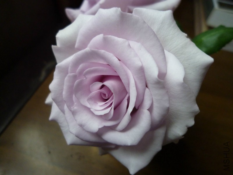 psb (10).jpg