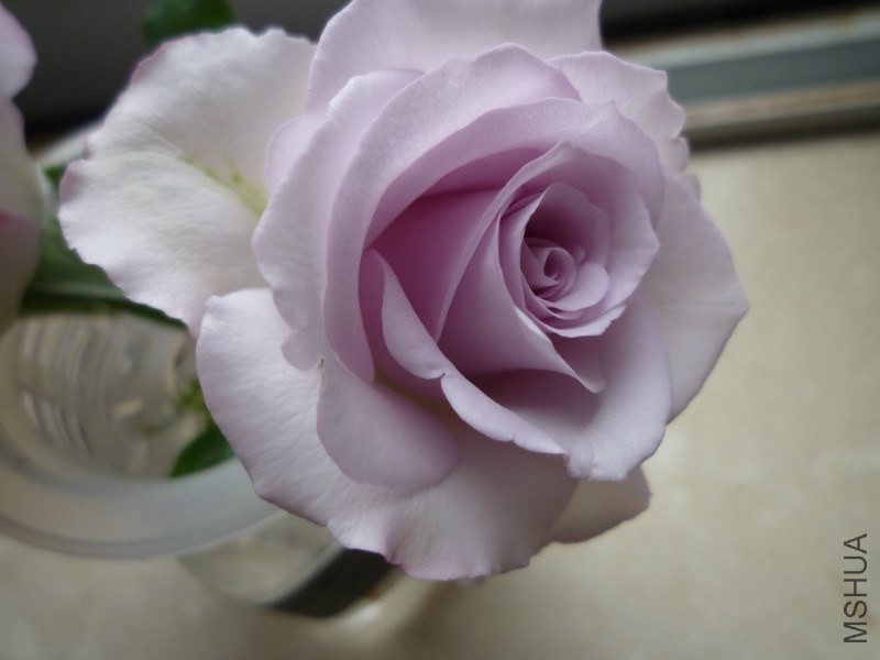 psb (11).jpg