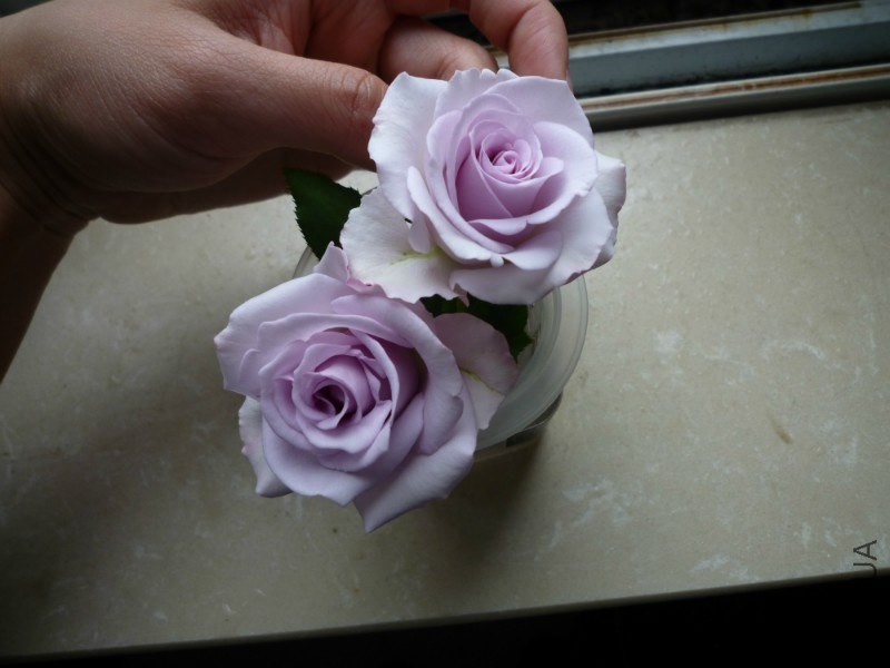 psb (12).jpg