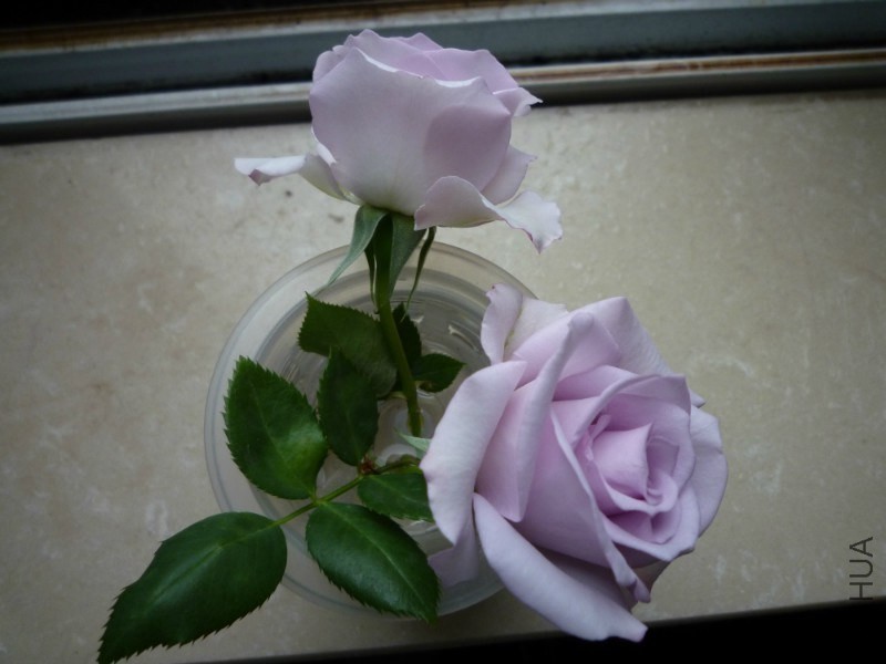 psb (13).jpg