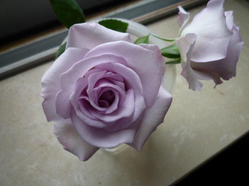 psb (14).jpg