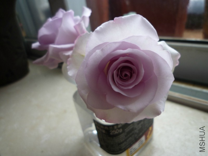 psb (15).jpg