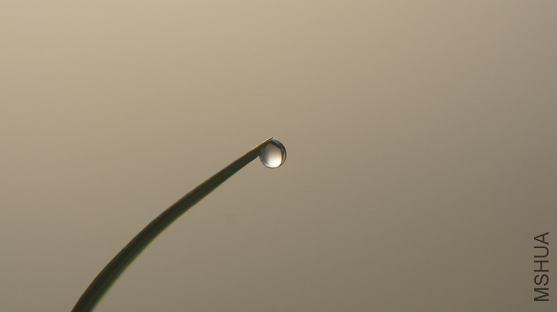 DSC04259.jpg