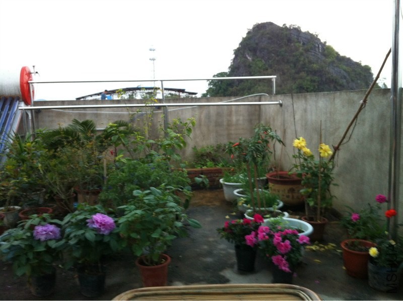20121214.jpg