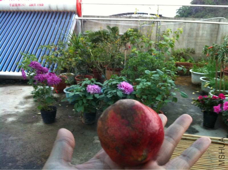 20121214-2.jpg