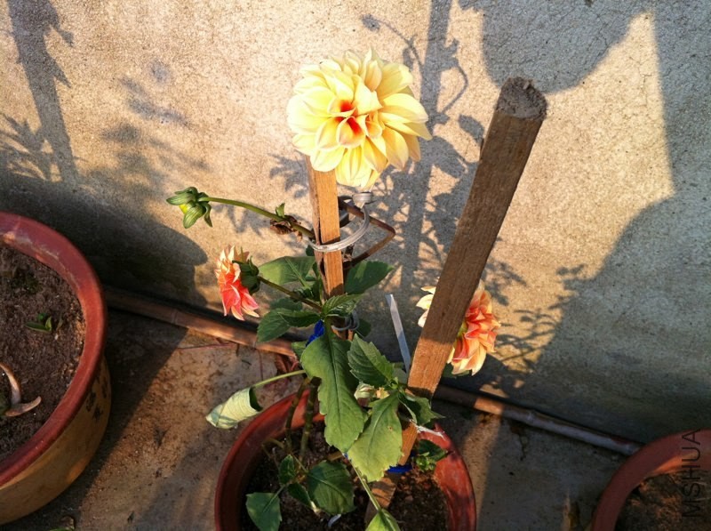 20130419.jpg