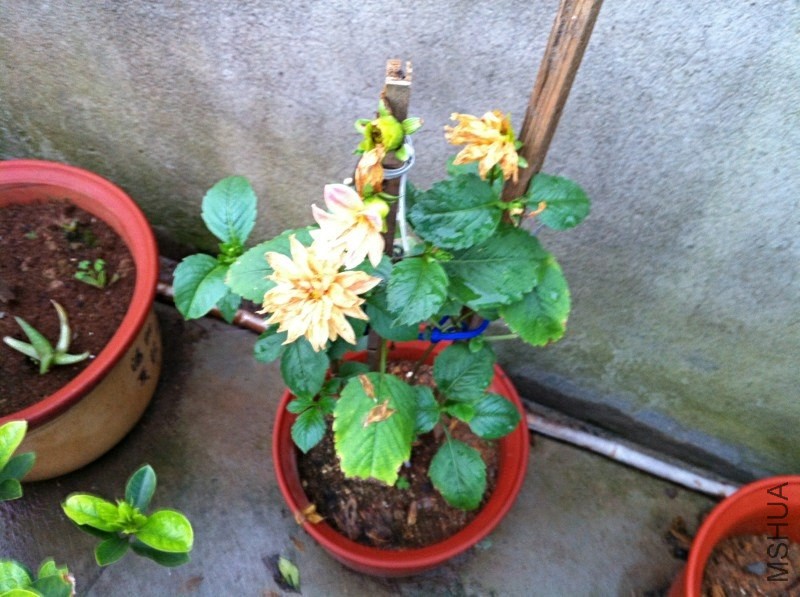 20130427.jpg