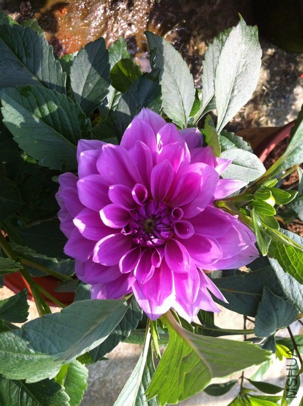 20130512.jpg