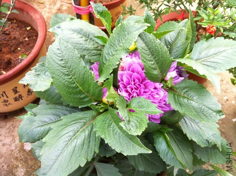 20130517.jpg