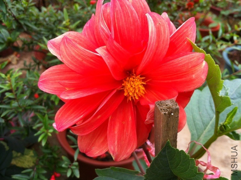 20130517-2.jpg