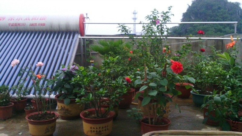20130519.jpg