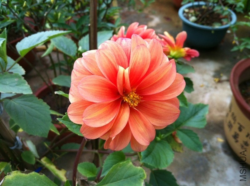 20130526-2.jpg