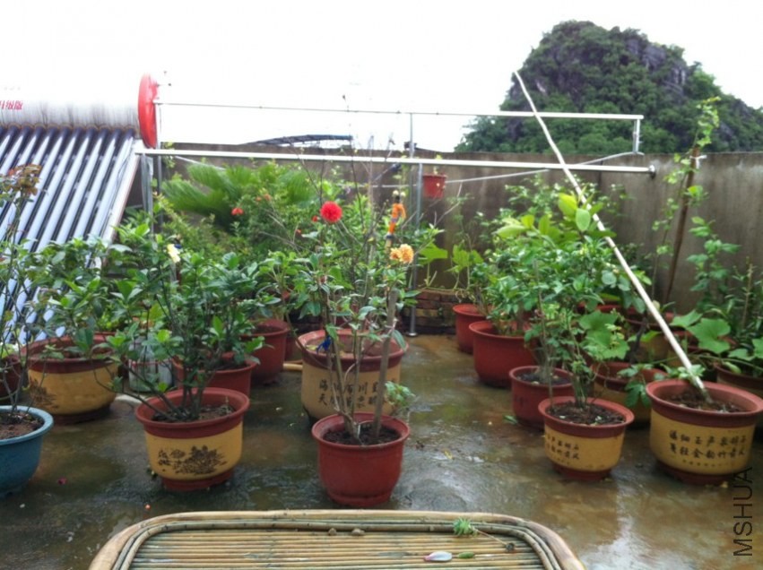 20130610.jpg