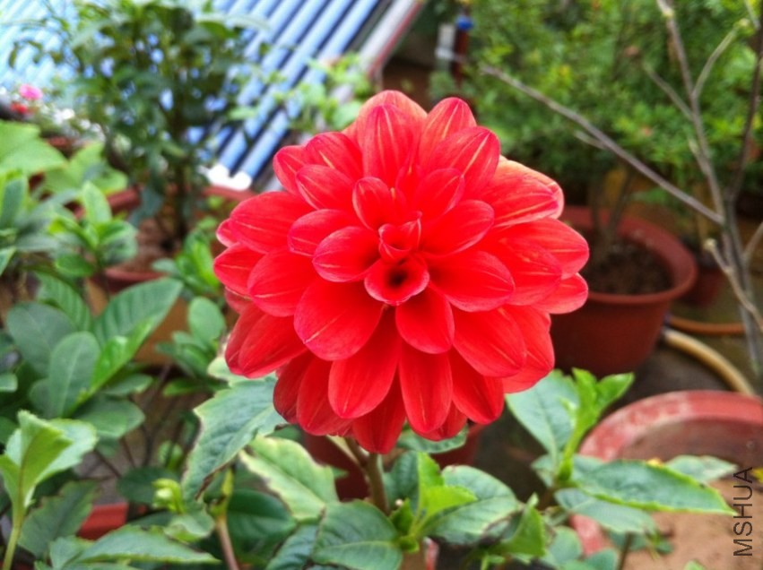 20130610-2.jpg