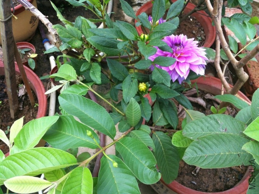20130930.jpg