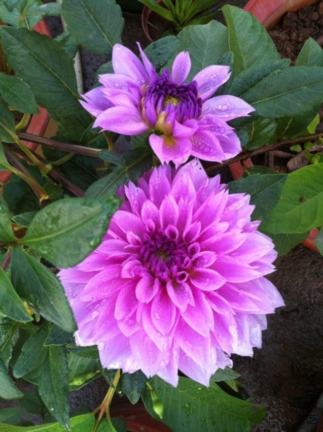 20131002.jpg