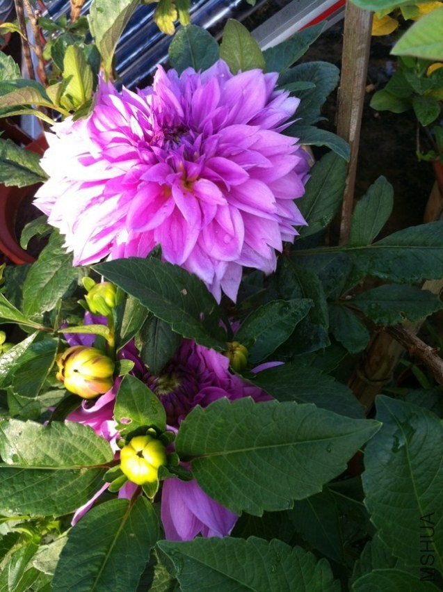 20131011-4.jpg