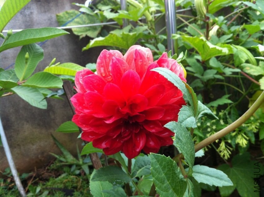 20131019-2.jpg