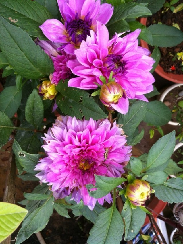 20131020.jpg