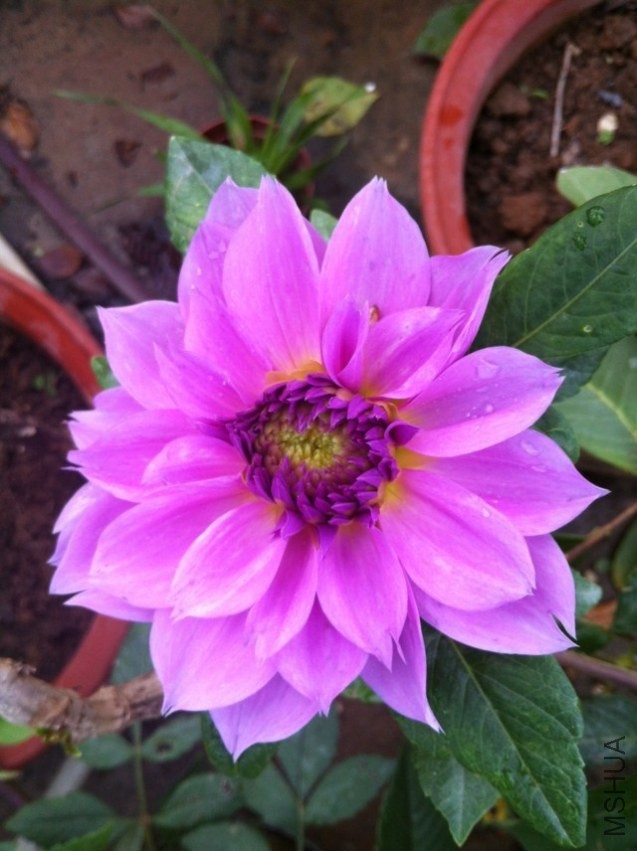 20131020-2.jpg