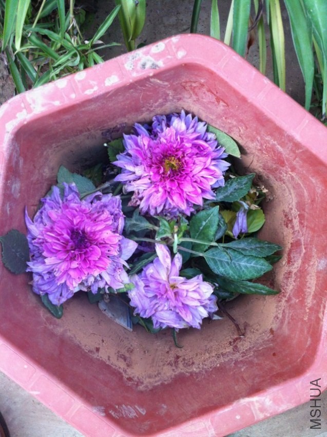 20131020-3.jpg
