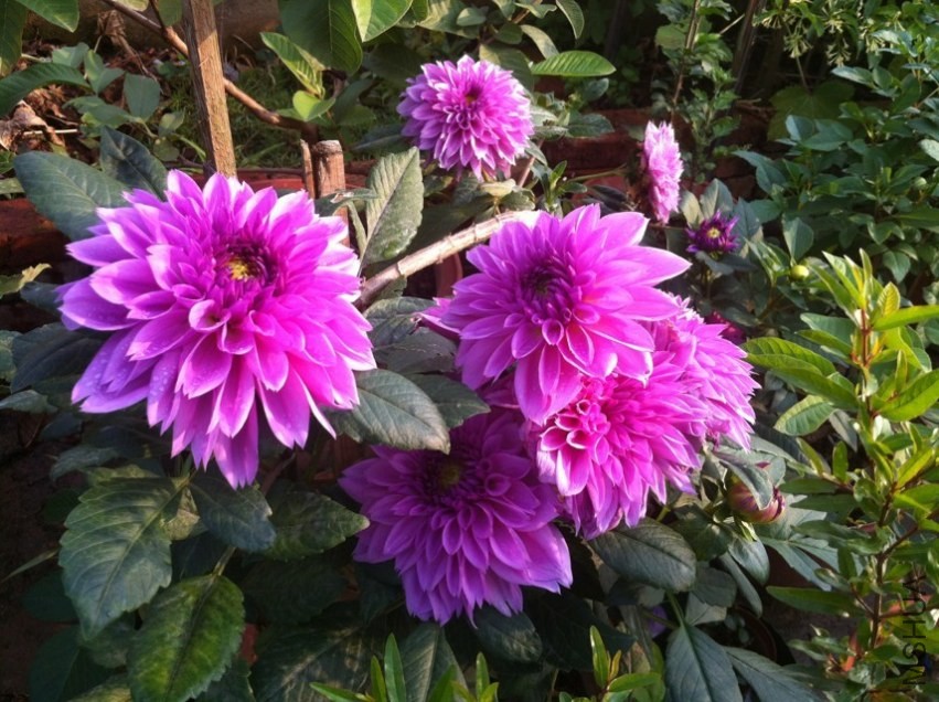 20131026.jpg
