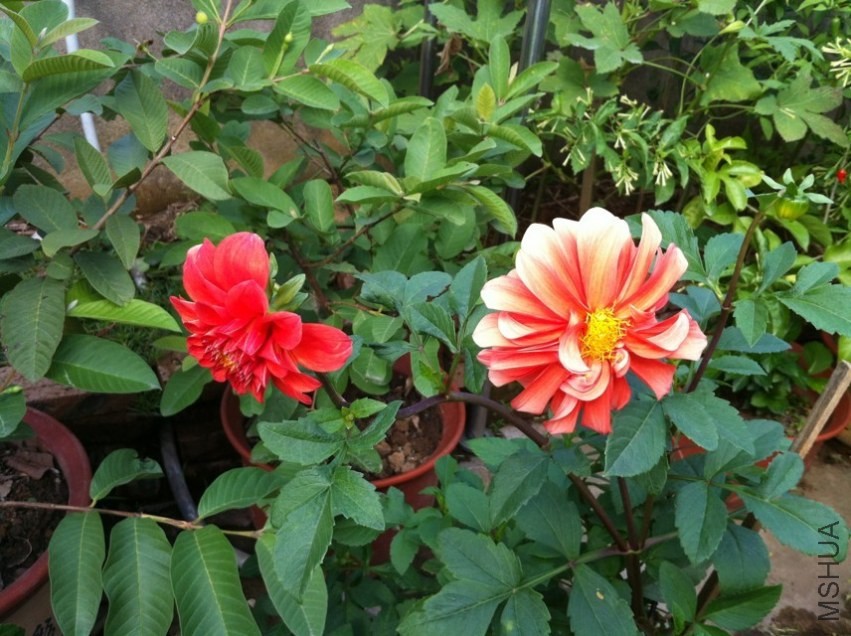 20131028.jpg