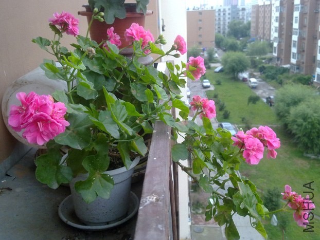 201309021659.jpg