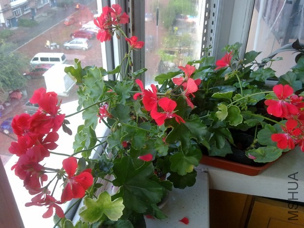 201309071720.jpg