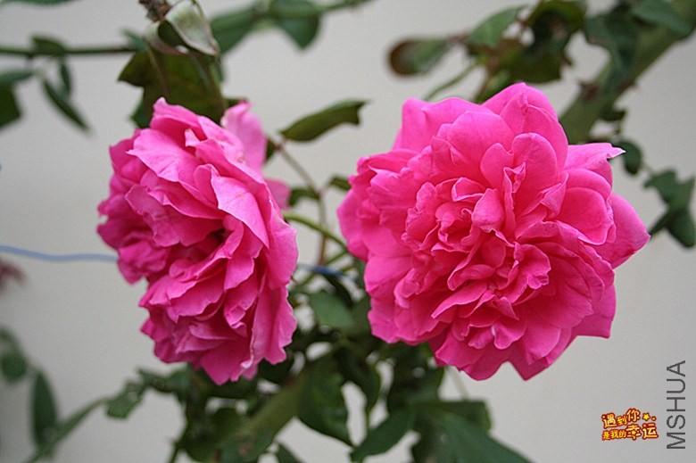 ��Ƭ 021_����.jpg