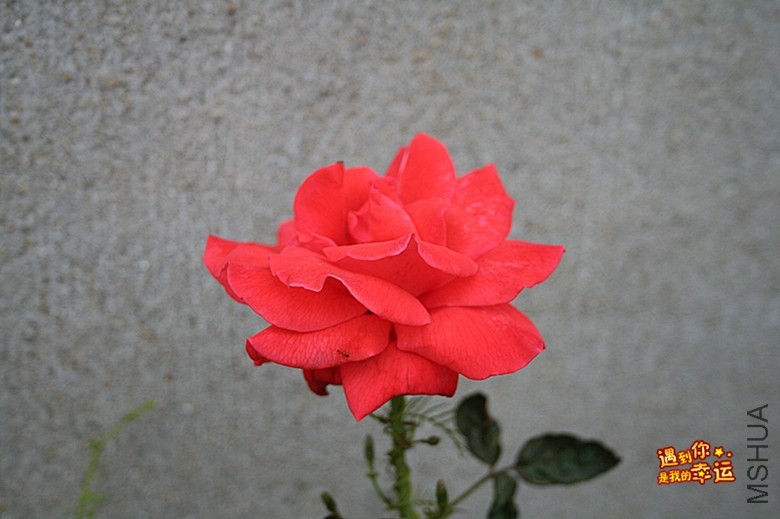 ��Ƭ 011_����.jpg