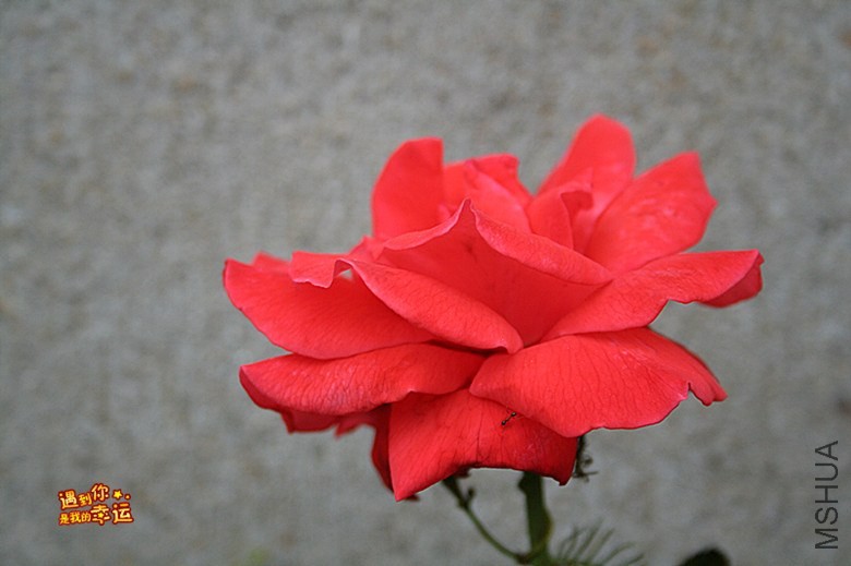 ��Ƭ 012_����.jpg