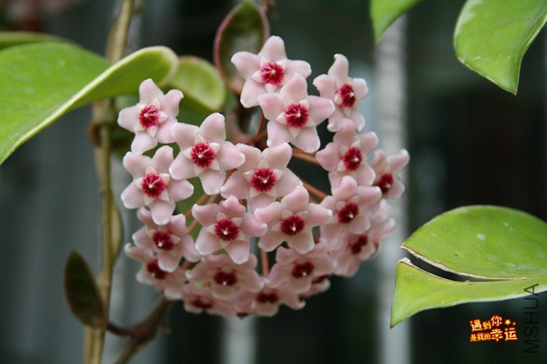 ��Ƭ 046_����.jpg