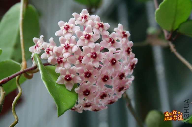 ��Ƭ 047_����.jpg