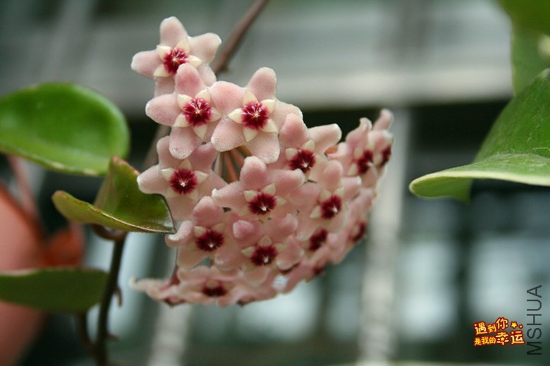 ��Ƭ 048_����.jpg