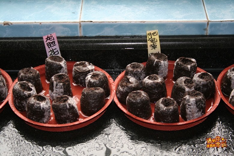 ��Ƭ 042_����.jpg