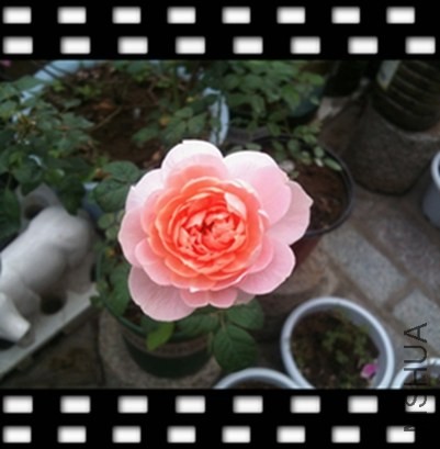 2013-10-27 094153.jpg