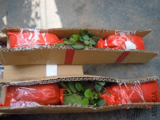 DSCN1662.JPG