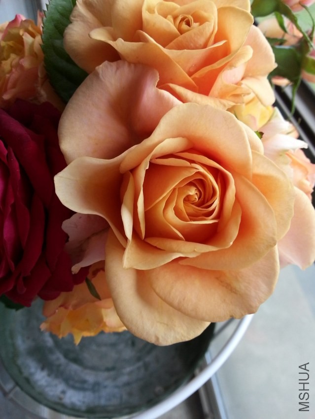 20130509_120602-n3.jpg