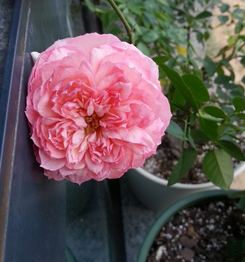 20130914_173418-n.jpg