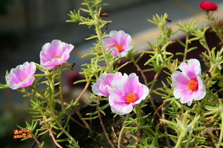 ��Ƭ 142_����.jpg