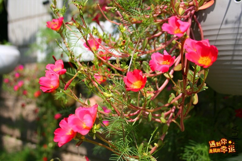 ��Ƭ 169_����.jpg