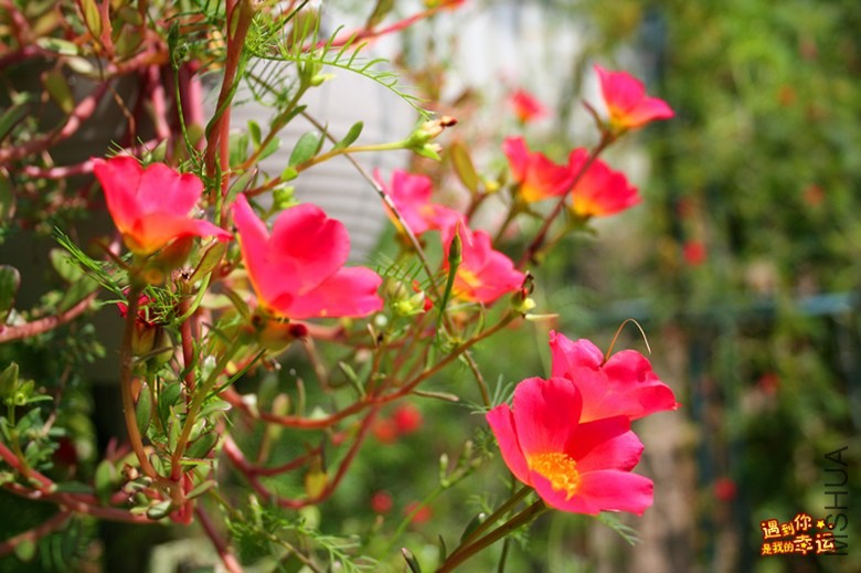 ��Ƭ 170_����.jpg