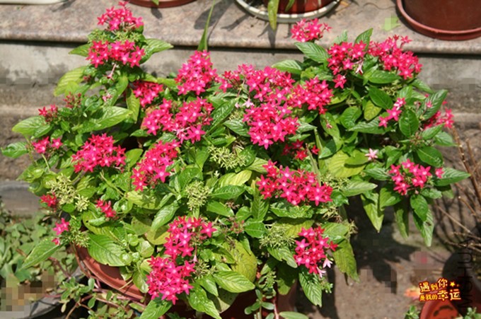 ��Ƭ 204_����.jpg