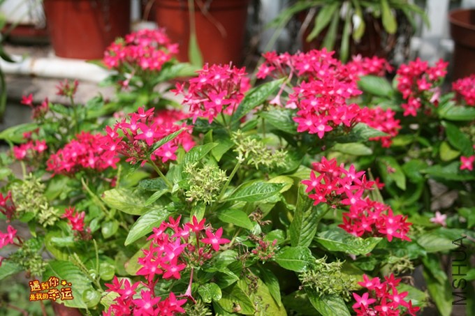 ��Ƭ 206_����.jpg