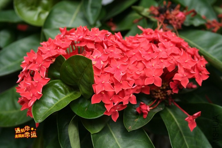 ��Ƭ 208_����.jpg