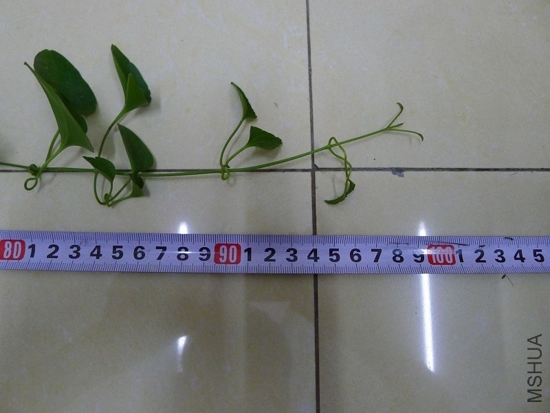 psb (3).jpg