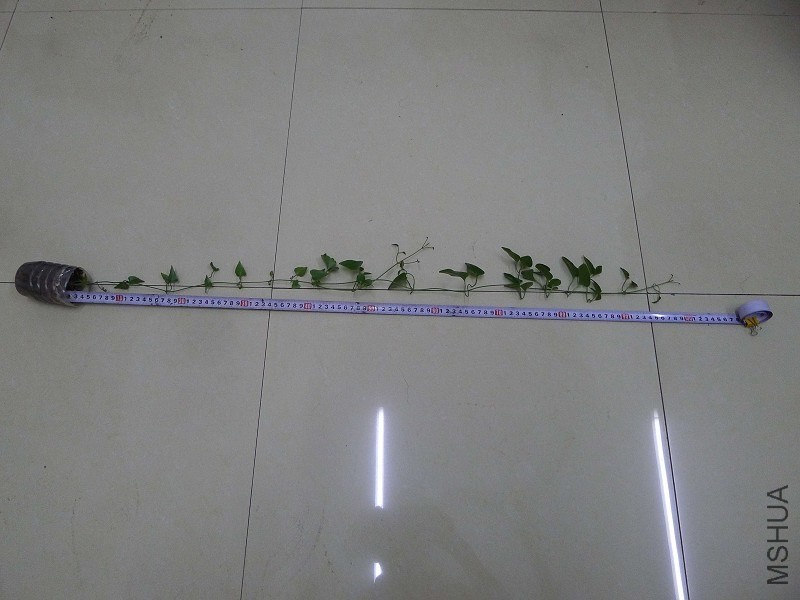 psb (4).jpg