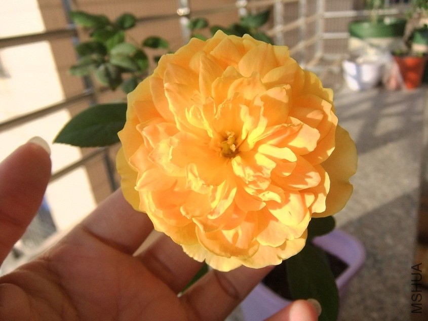 DSCF0283.JPG